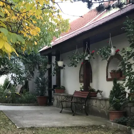Sandor Bogács